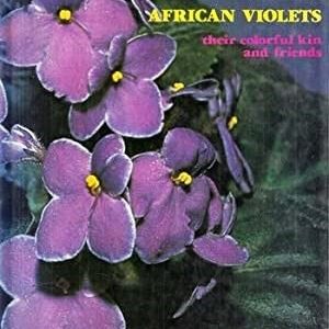 African Violets: