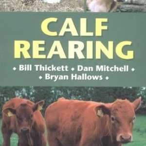 Calf Rearing Thickett