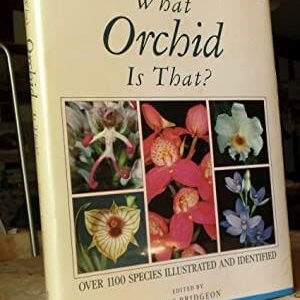What Orchid is That