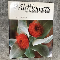 Wildflowers of Western Australia