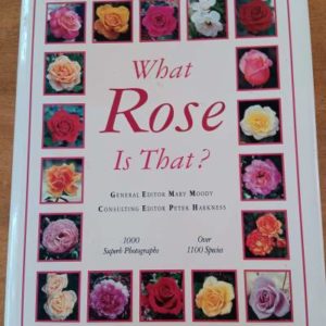 What Rose Is That?