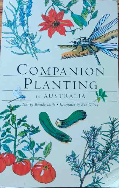 Companion Planting in Australia#
